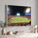 Dooley Stadium Wall Art, Sports Arena Panoramic Canvas