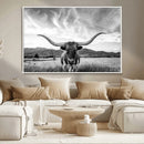 Longhorn Black and White Wall Art – Rustic Western Bull