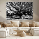 Mighty Angel Oak Wall Art | Angel Oak Tree Art Print by MyGreatCanvas | Canvas Wall Art Prints | Photo Prints & Wall Decor