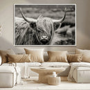 Cow Focus Canvas Wall Art Print by MyGreatCanvas | Canvas Wall Art Prints | Photo Prints & Wall Decor