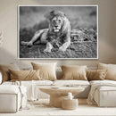 King Forest Lion Wall Art Canvas Print – Framed Majestic by MyGreatCanvas | Canvas Wall Art Prints | Photo Prints & Wall Decor