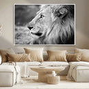 Lion Wall Art Canvas Print – Framed Majestic Wildlife by MyGreatCanvas | Canvas Wall Art Prints | Photo Prints & Wall Decor