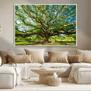 Majestic Oak Tree Wall Art – Serene Nature Canvas Print with