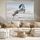 Prancing Horse Desert Large Wall Art Canvas Print – Majestic