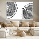 Abstract Large Tree Rings – Minimalist Black and White Wood