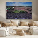 South Carolina Gamecocks Football Team Print - Columbia