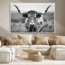 Texas Cow Longhorn Wall Art Canvas Print for Farm House Wall