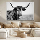 Texas Cow Longhorn Wall Art Canvas Print in Black and White