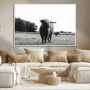 Black and White Highland Cow Wall Art Canvas Print | Rustic