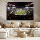 Eagles Field Stadium Wall Art - Philadelphia Eagles Football