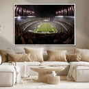 Eagles Field Stadium Wall Art - Philadelphia Eagles Football