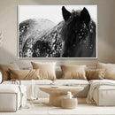 Black Horse in Snow Canvas Print | Winter Horse Wall Art |
