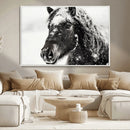 Framed Black and White Horse Wall Art | Ready to Hang and by MyGreatCanvas | Canvas Wall Art Prints | Photo Prints & Wall Decor