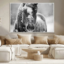 Black and White Horse Winter Wall Art | Ready to Hang and
