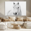 Majestic White Horse Wall Art | Ready to Hang and Framed |