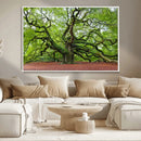 Framed Angel Oak Tree Wall Art - 3-Panel Canvas Prints,