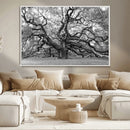 Black White Angel Oak Tree Wall Art - Timeless