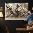 Sepia Framed Angel Oak Tree Wall Art - 3-Panel Canvas