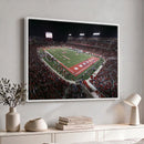 Houston Cougars Football Team Print - Houston TDECU Stadium