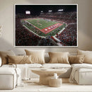 Houston Cougars Football Team Print - Houston TDECU Stadium