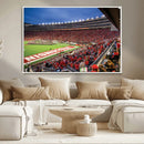 Wisconsin Badgers Football Team Print - Madison Camp Randall by MyGreatCanvas | Canvas Wall Art Prints | Photo Prints & Wall Decor