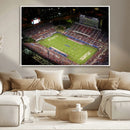 Florida Atlantic University Owls Canvas Print, Football Team by MyGreatCanvas | Canvas Wall Art Prints | Photo Prints & Wall Decor