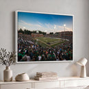 University of Charlotte 49ers Football Team Print -