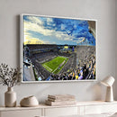 Framed USF Bulls Football Team Print - Tampa Raymond James
