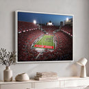 Ohio State University Buckeyes Football Team Print -