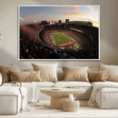 Ohio State University Buckeyes Football Team Print -