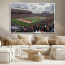 Rutgers Scarlet Knights Football Team Print - SHI Stadium,