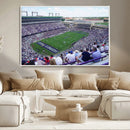 The Texas Christian University TCU Horned Frogs Football