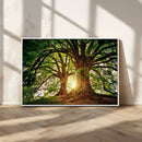 Majestic Ancient Tree Wall Art, NatureCanvas Print, Woodland by MyGreatCanvas | Canvas Wall Art Prints | Photo Prints & Wall Decor