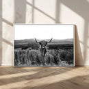 Black and White Highland Cow Canvas Wall Art, Longhorn by MyGreatCanvas | Canvas Wall Art Prints | Photo Prints & Wall Decor