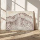 Tree Ring Wall Art Triptych, Rustic Wood Ring Canvas Print,