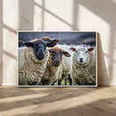 Charming Sheep Portrait Wall Art – Trio of Woolly Companions by MyGreatCanvas | Canvas Wall Art Prints | Photo Prints & Wall Decor