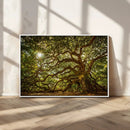 Ancient Angel Oak Tree Art Sunburst Canvas Print-