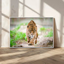 Leopard on the Prowl - Stunning Large Framed Leopard Wall