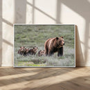 Wildlife Photography of 399 Grizzly Bear Cubs | Queen of the by MyGreatCanvas | Canvas Wall Art Prints | Photo Prints & Wall Decor