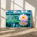 Lotus Flower Wall Art Canvas Print, Water Lily Large Wall