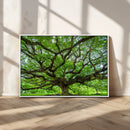 Ancient Tree Wall Art Canvas Print, Framed Sprawling by MyGreatCanvas | Canvas Wall Art Prints | Photo Prints & Wall Decor