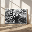 Ancient Oak Wall Art Canvas Print – Gnarled Tree Twisted by MyGreatCanvas | Canvas Wall Art Prints | Photo Prints & Wall Decor