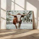 Texas Longhorn Wall Art Canvas Print – Framed Spotted Bull