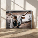 Texas Longhorn Wall Art Canvas Print – Framed Spotted Bull