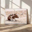 Texas Longhorn Wall Art Canvas Print – Framed Resting Bull by MyGreatCanvas | Canvas Wall Art Prints | Photo Prints & Wall Decor