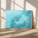 Fish Swarm Wall Art Canvas Print – Framed Aerial Shark and by MyGreatCanvas | Canvas Wall Art Prints | Photo Prints & Wall Decor