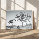 Joshua Tree Wall Art Canvas Print – Framed Black White