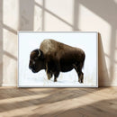 Bison Wall Art Canvas Print – Framed Western Wildlife