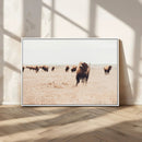 Bison Herd Wall Art Canvas Print – Framed Western Prairie by MyGreatCanvas | Canvas Wall Art Prints | Photo Prints & Wall Decor