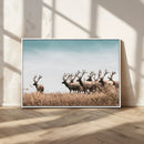 Elk Herd Wall Art Canvas Print – Framed Wildlife Photography